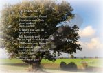 Freundschaft
