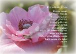 Blumiger Sinn