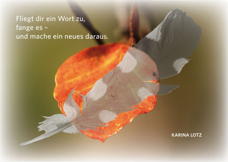 Fliegt dir ein Wort zu - AUSVERKAUFT