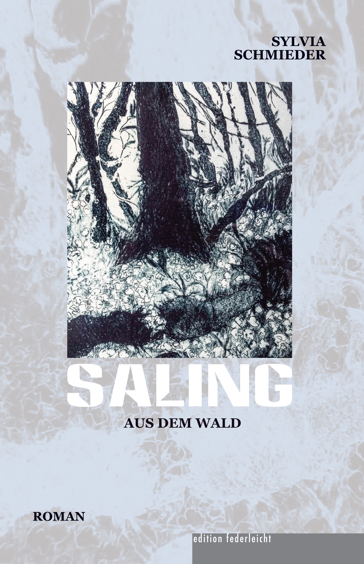 "Saling aus dem Wald" im Literaturhaus Freiburg